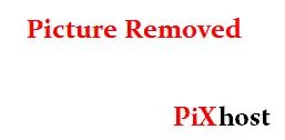 PLBZ – The ass of the human toilet must be punished in order to work properly