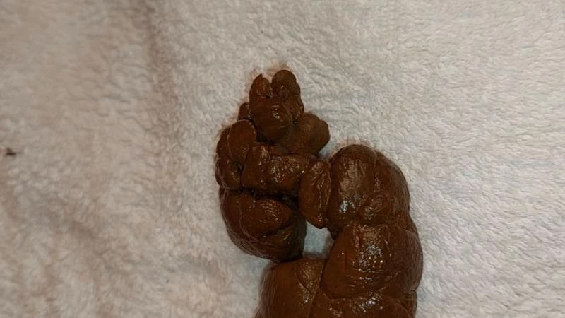 PooGirlSofia - Moms Stinky Poo