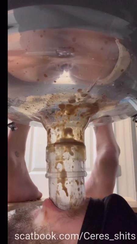 A Day of Shitting Down My Toilet's Throat P1