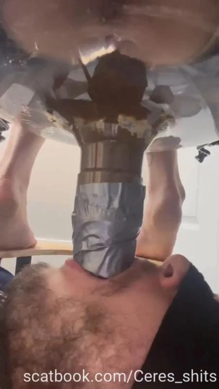 Toilet Annihilation with Goddess Ceres P1