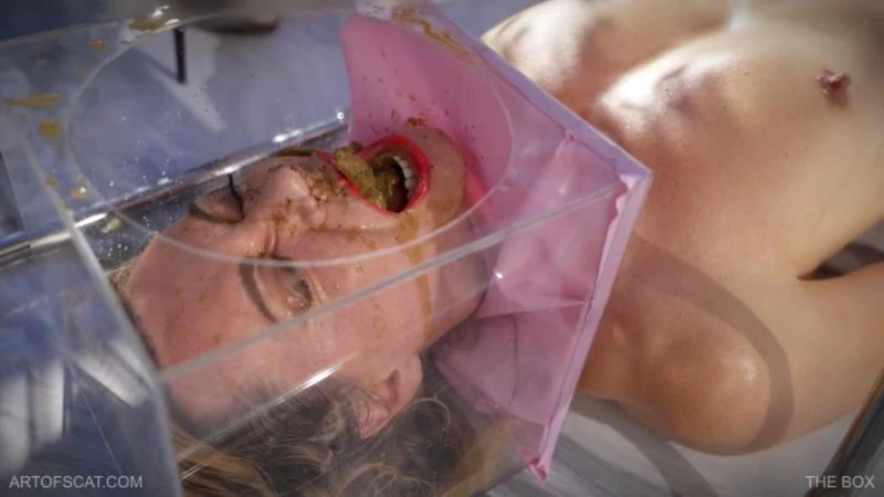 QS, NAZRYANA - THE BOX