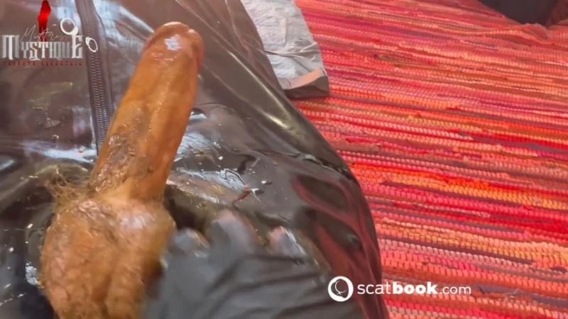 Mistress Mystique - Dirty Toilet Training Facesitting