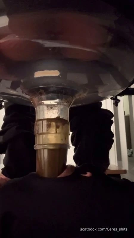 Goddess Ceres-2025-10-19 - Toilet Swallows All My Waste For The Day