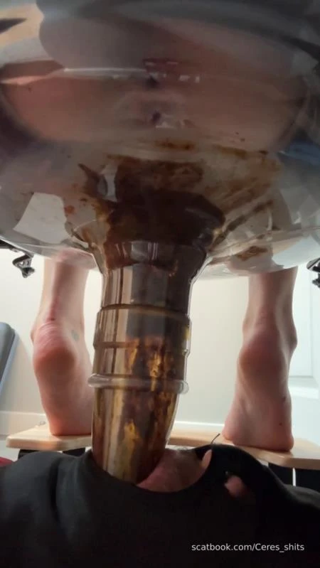 Goddess Ceres - Daily Toilet Torture » Mixfemdomcc - Latest Femdom Porn for Online Streaming