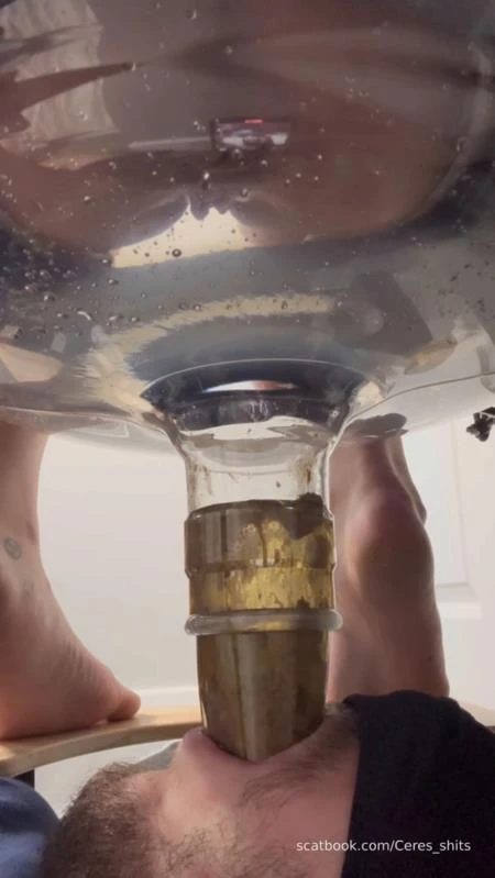 Goddess Ceres - Human Toilet's First Malfunction Infinite Shit Down Your Throat » Mixfemdomcc - Latest Femdom Porn for Online Streaming