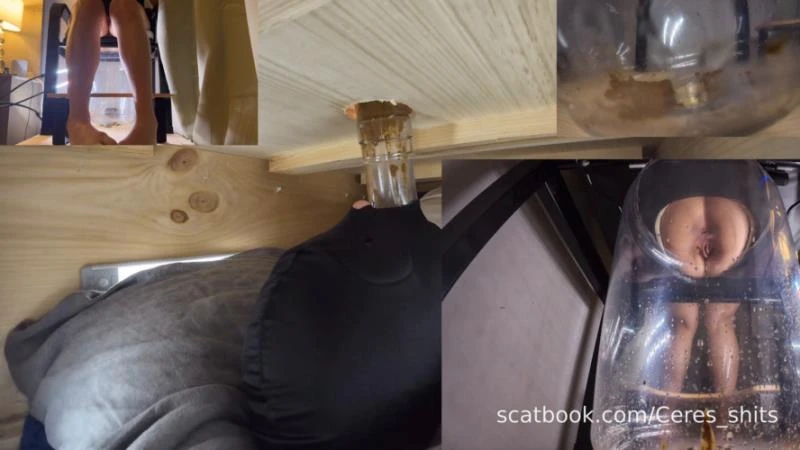 Goddess Ceres - The Ultimate Human Toilet Setup Configuration » Mixfemdomcc - Latest Femdom Porn for Online Streaming