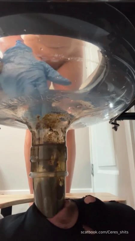 24 Minutes of Daily Toilet Slave Destruction P1