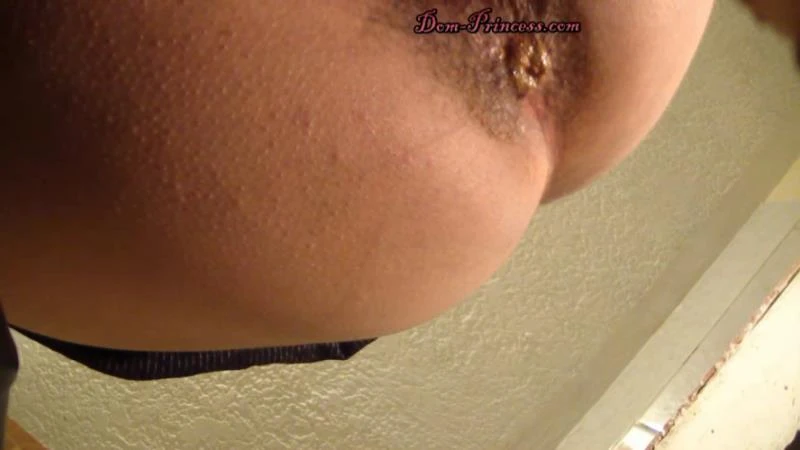 Scatmania Princesses Household Toilet Slave Part 5 Diana Hd