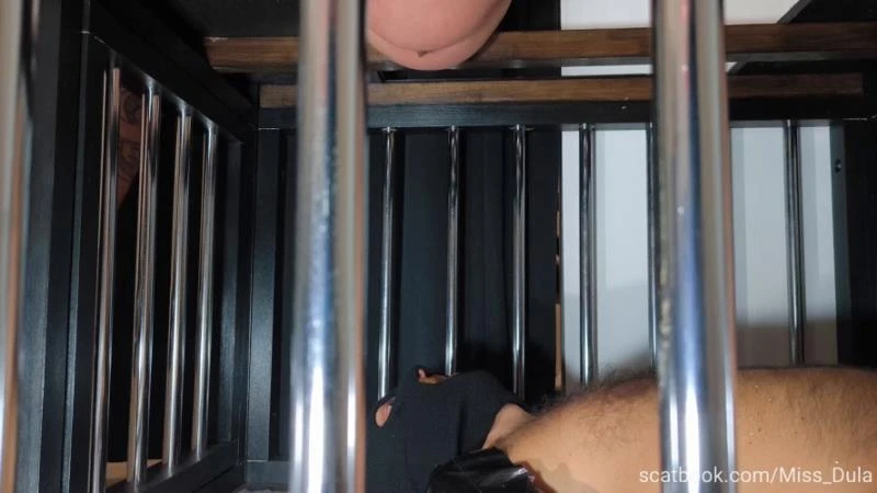 MISS DULA - My Poop In His Mouth » Mixfemdomcc - Latest Femdom Porn for Online Streaming