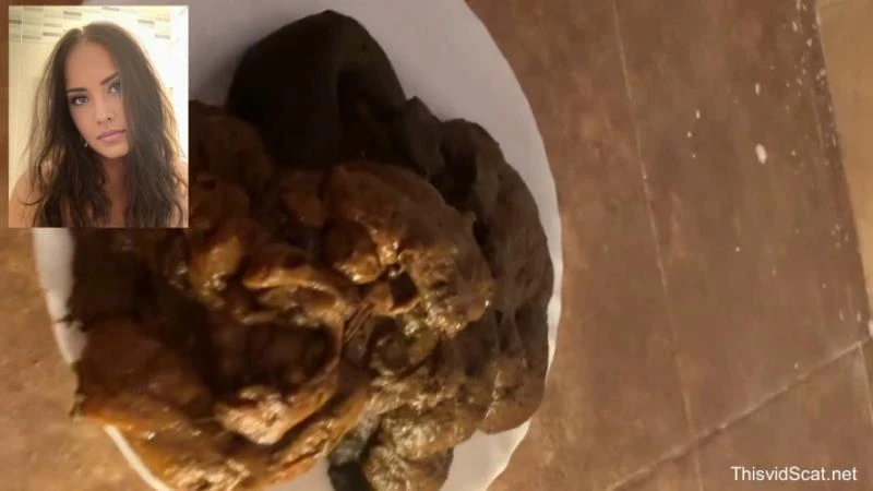 A huge pile of shit goes into the toilet. P1