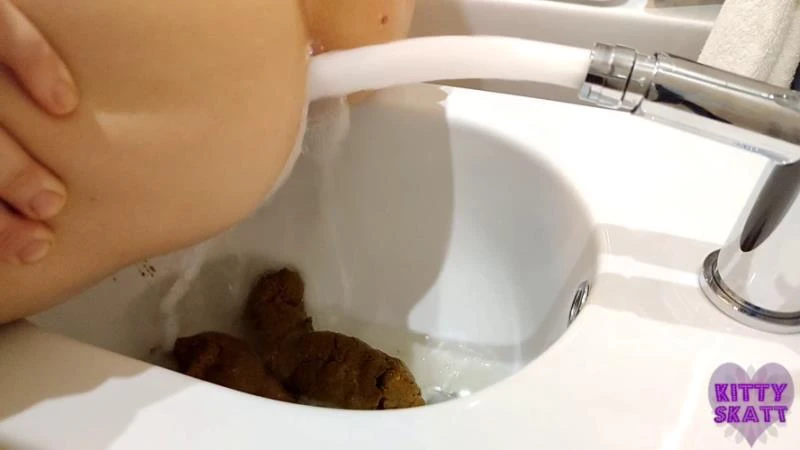 Kitty Skatt - Huge dump in fancy hotel bidet