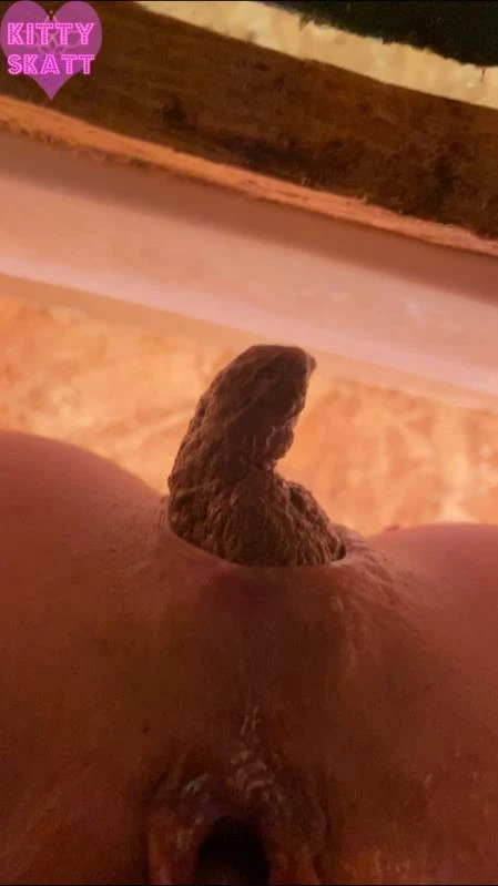 Kitty Skatt - POV hookup in festival toilet