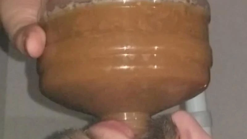 SSBBW Queen Siya - Chugging LITERS of my poop-flavored pee