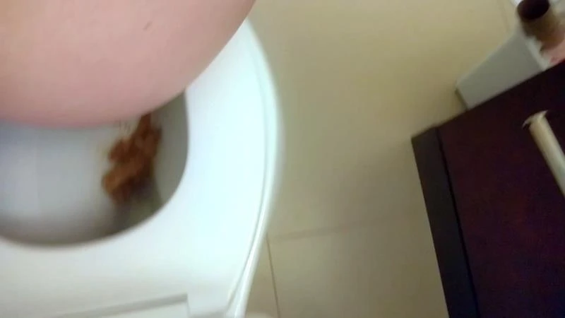 CassieScat - Cute, Casual Toilet Poo (+ wiping and flushing!)